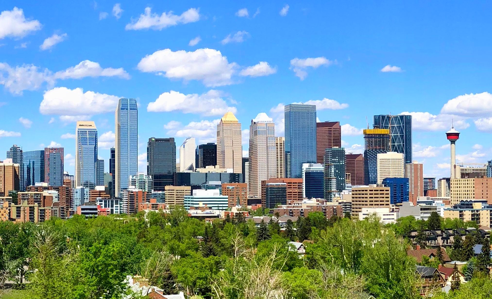 Professional Tax Accountants CPA in Calgary